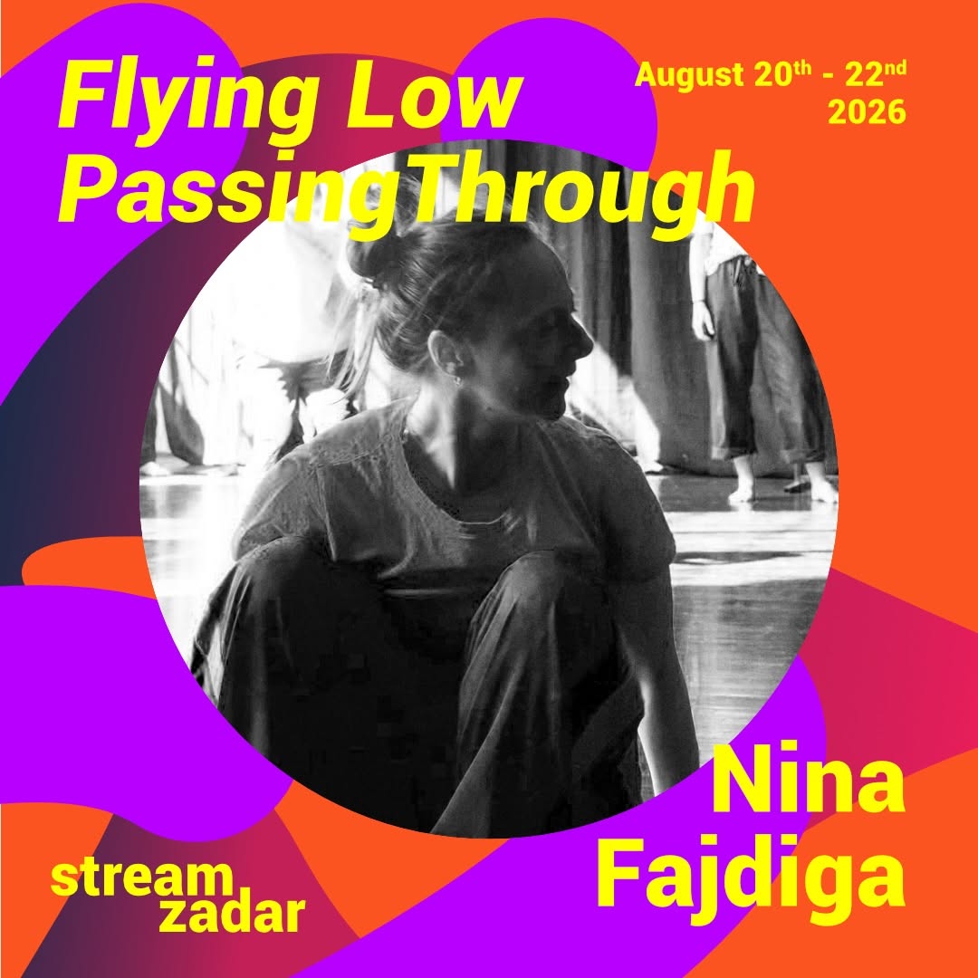 Flying Low and Passing Through | Nina Fajdiga